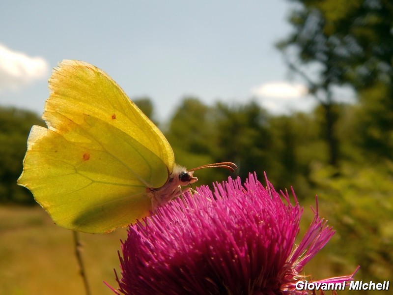 Parco del Ticino : incontri del 24-5-14